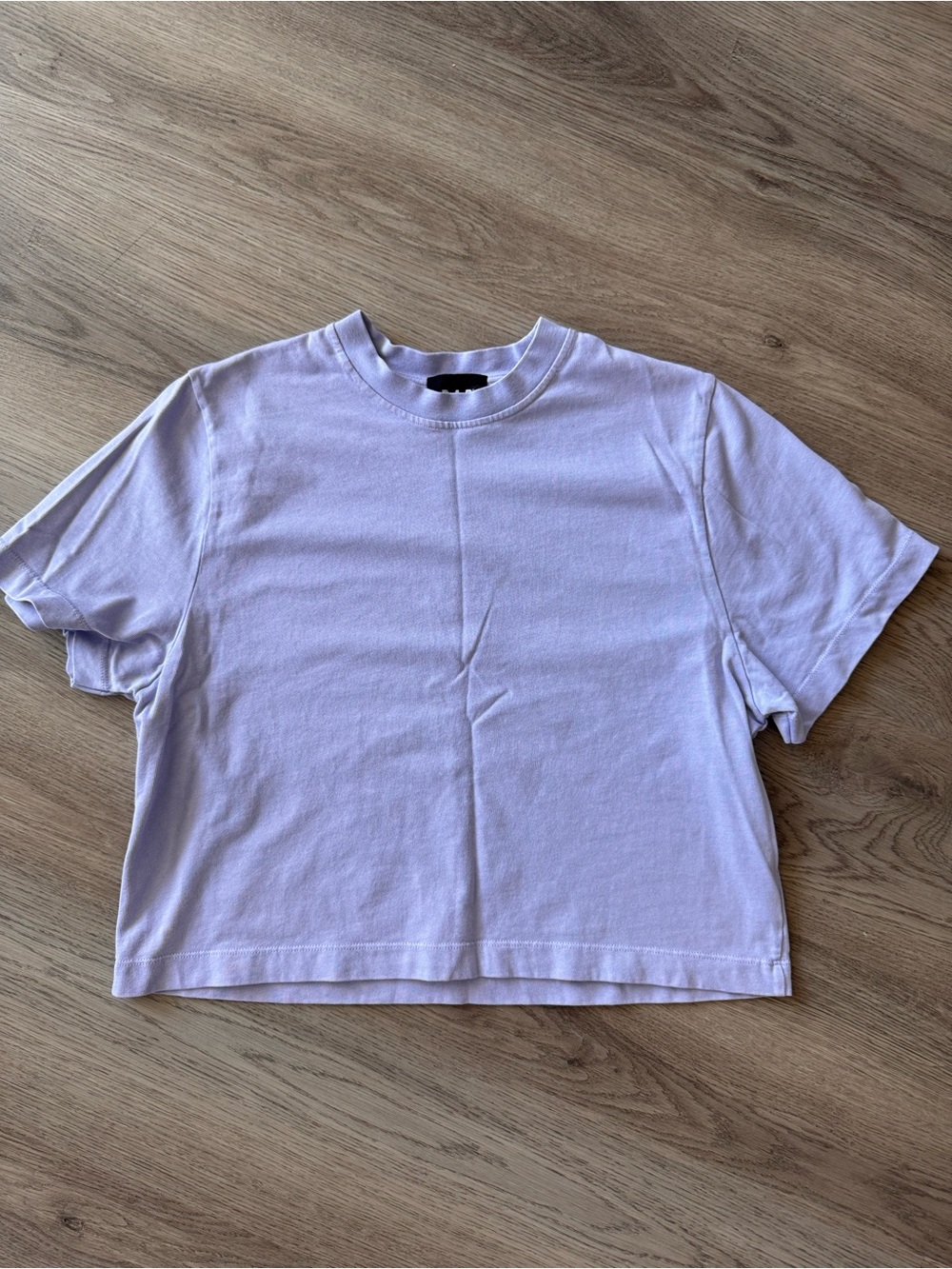 R.A.D. Global Crop Tee in Baby Lavendar